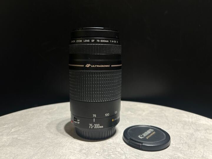【292_13034】キャノン Canon EF 75-300mm F4-5.6 Ⅱ USM 望遠ズームレンズ 動作未確認
