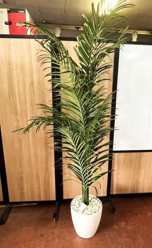 美品　とてもリアルなフェイクグリーン　H180　鉢経30ｃｍ　西濃運輸のみ