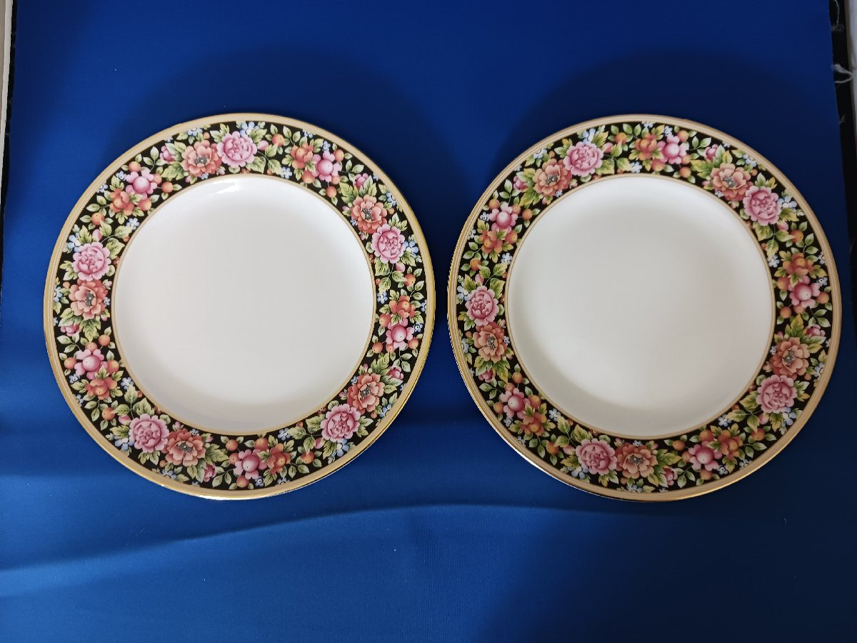 WEDGWOOD　ウェッジウッド クリオ 21㎝プレート 2枚セット（現状品）