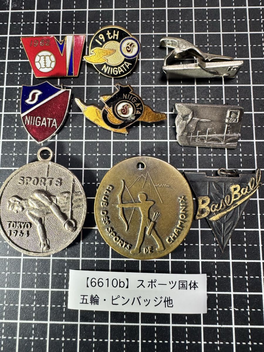 昭和レトロ スポーツ記念バッジ メダル 9点セット 1964年 東京オリンピック 新潟国体 1962年バレーボール フランス シャモニー 1975