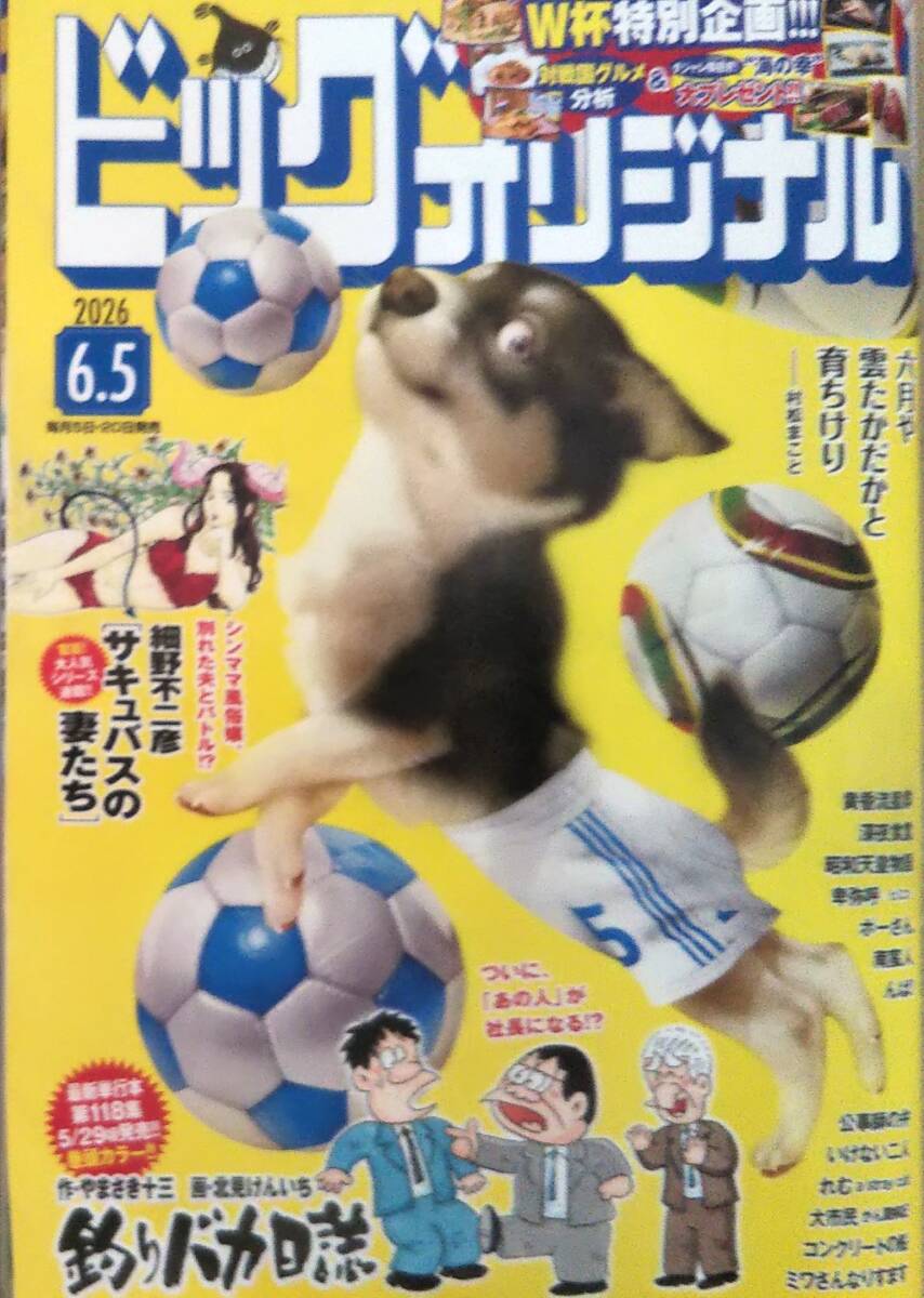 【2026年No.11★ビッグコミックオリジナル(6月5日号)★送料127円～】釣りバカ日誌/細野不二彦「サキュバスの妻たち」/南蛮人