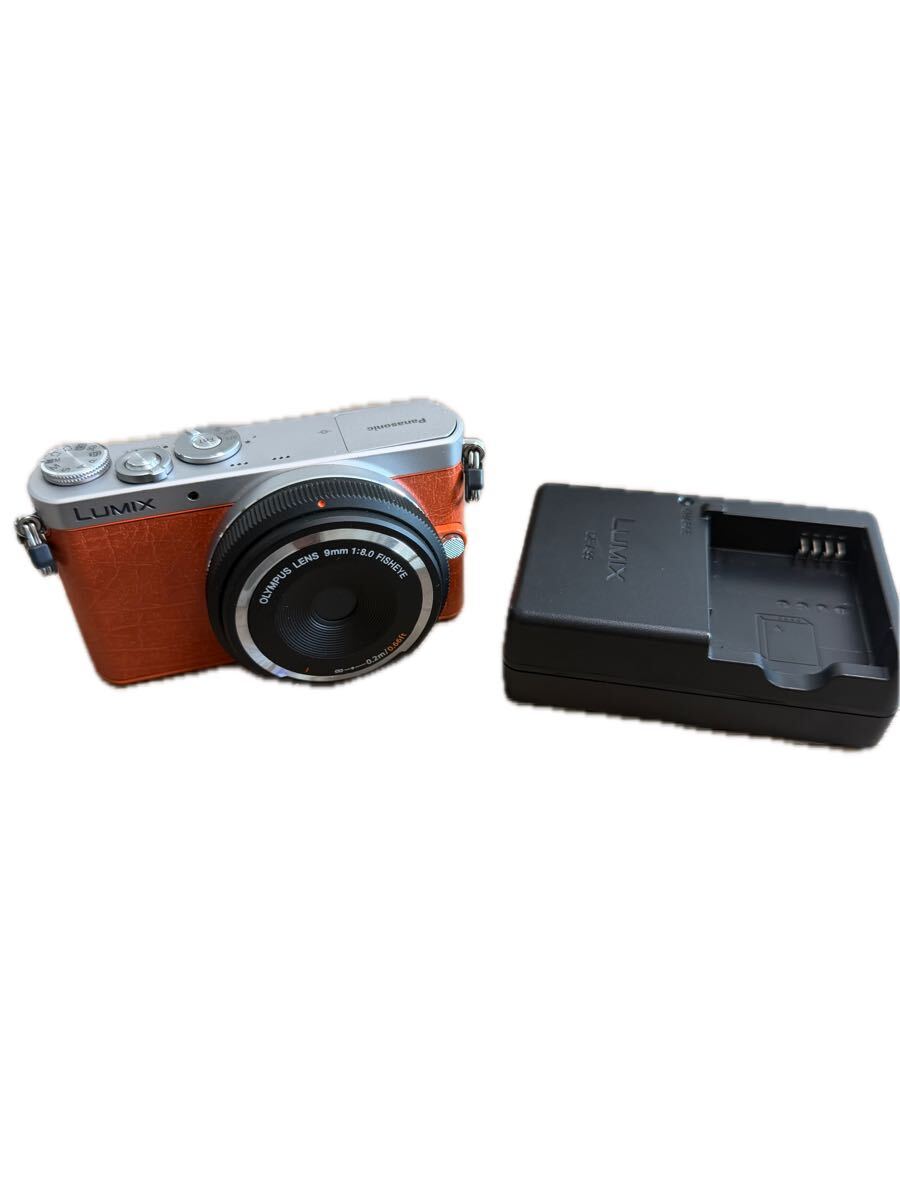 ミラーレス一眼カメラ Panasonic LUMIX DMC-GM1