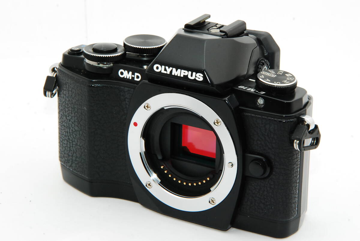 【外観特上級】オリンパス OM-D E-M10 　#u10753