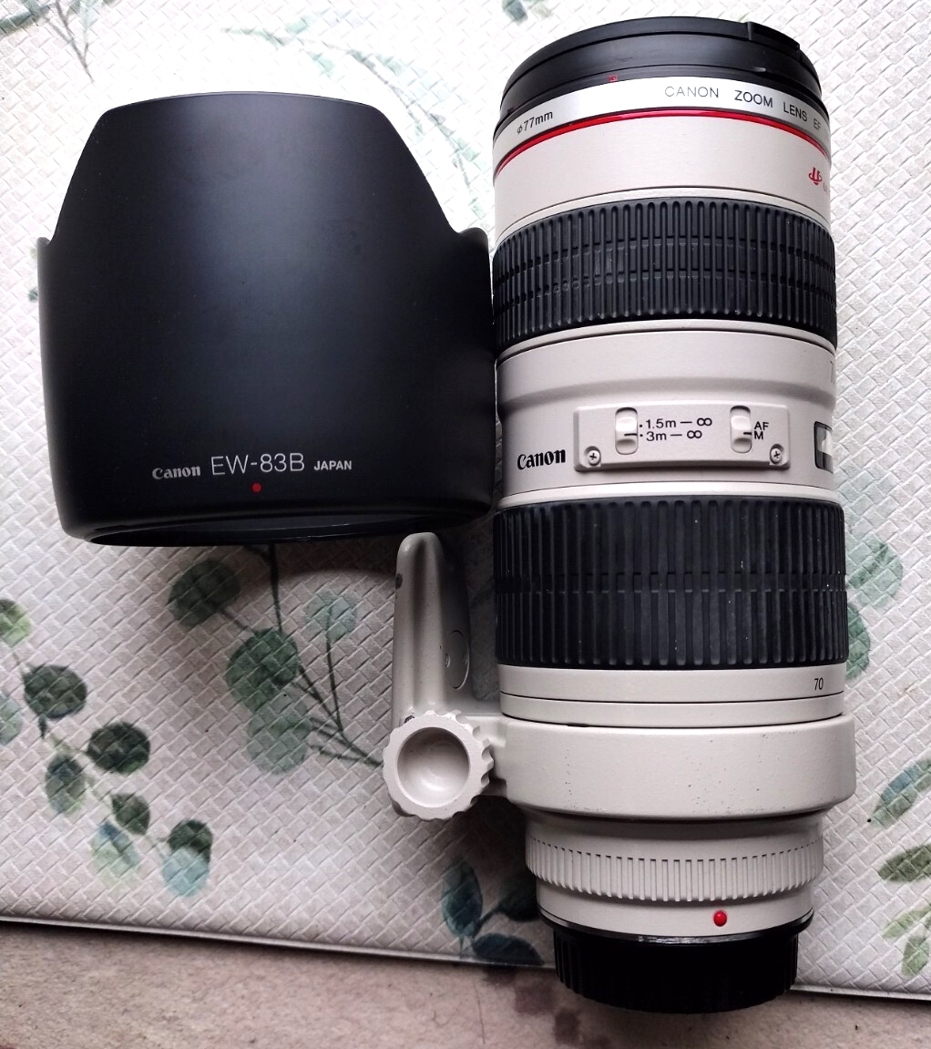 Canon EF 70-200mm F2.8 L USM レンズ EW-83Bフード付