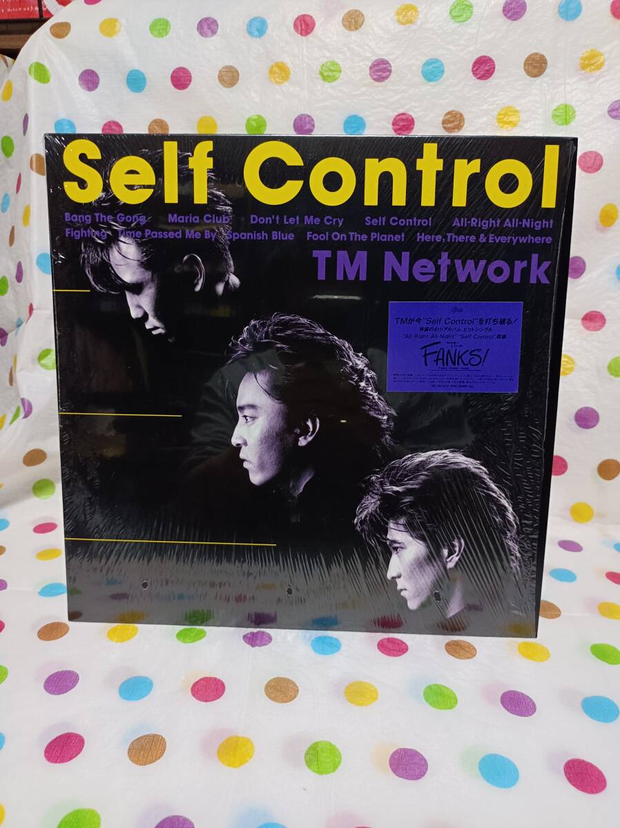 TMNETWORK　Self Control　LPレコード