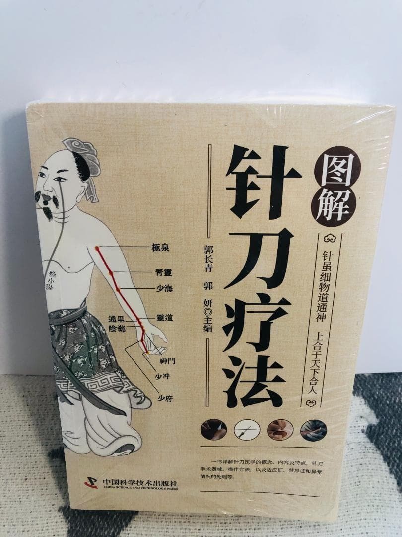 図解 一針療法 鍼灸 専門書 中国語 簡体字 東洋医学 経絡 ツボ 治療 