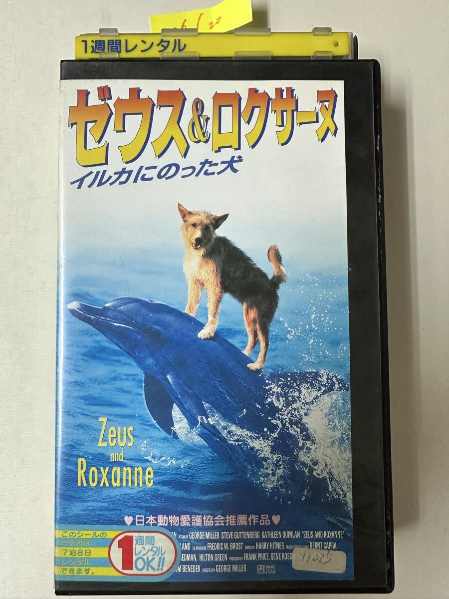 中古送料込み　【激レアVHS】ゼウス＆ロクサーヌ イルカにのった犬 レンタル版 ビデオテープ 1996年作品 ジョージ・ミラー督