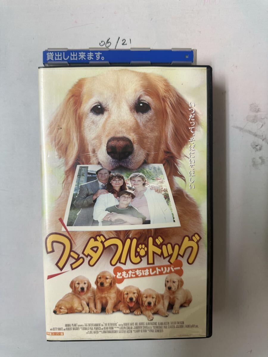 中古送料込みVHS◆ワンダフル・ドッグ ともだちはレトリバー◆字幕スーパー版 映画 ビデオ 廃盤 レア ゴールデンレトリバー 犬 ファミリー