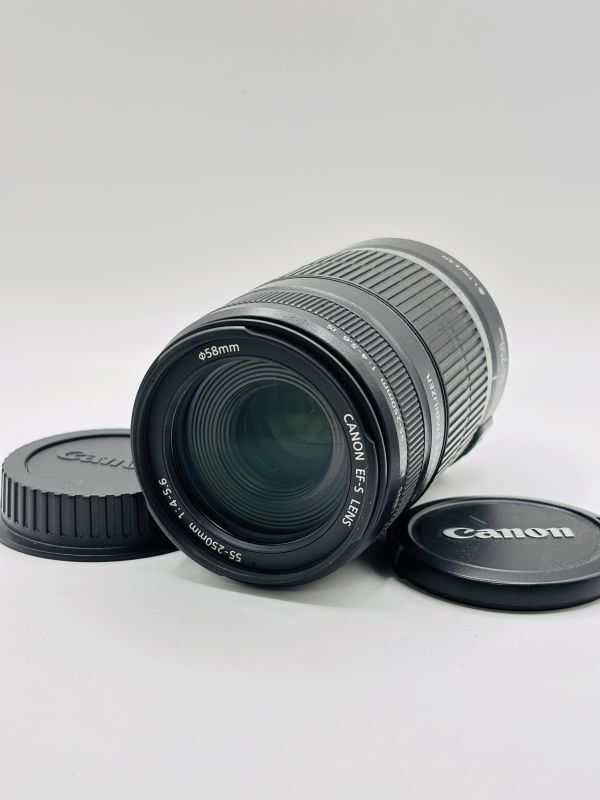 ★美品★キヤノン CANON EF-S 55-250mm F4-5.6 IS #8G010