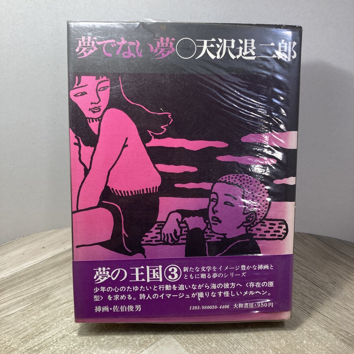 406b●夢でない夢 天沢退二郎 夢の王国3 大和書房 1973年　挿画 佐伯俊男
