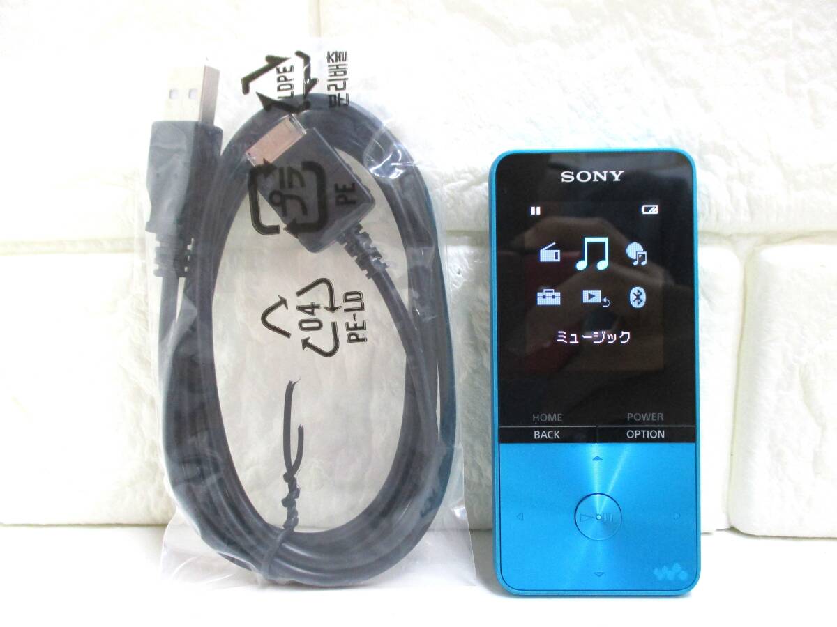 6F082MZ9◇SONY ソニー ウォークマン NW-S315 16GB ポータブルオーディオプレーヤー 動作品◇中古