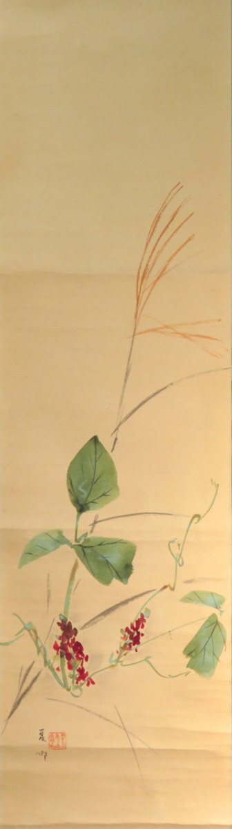 JY829◆◇掛軸 須磨夏郷 「葛花」 尺巾 物故作家掛軸◇◆春 普段掛け 茶道