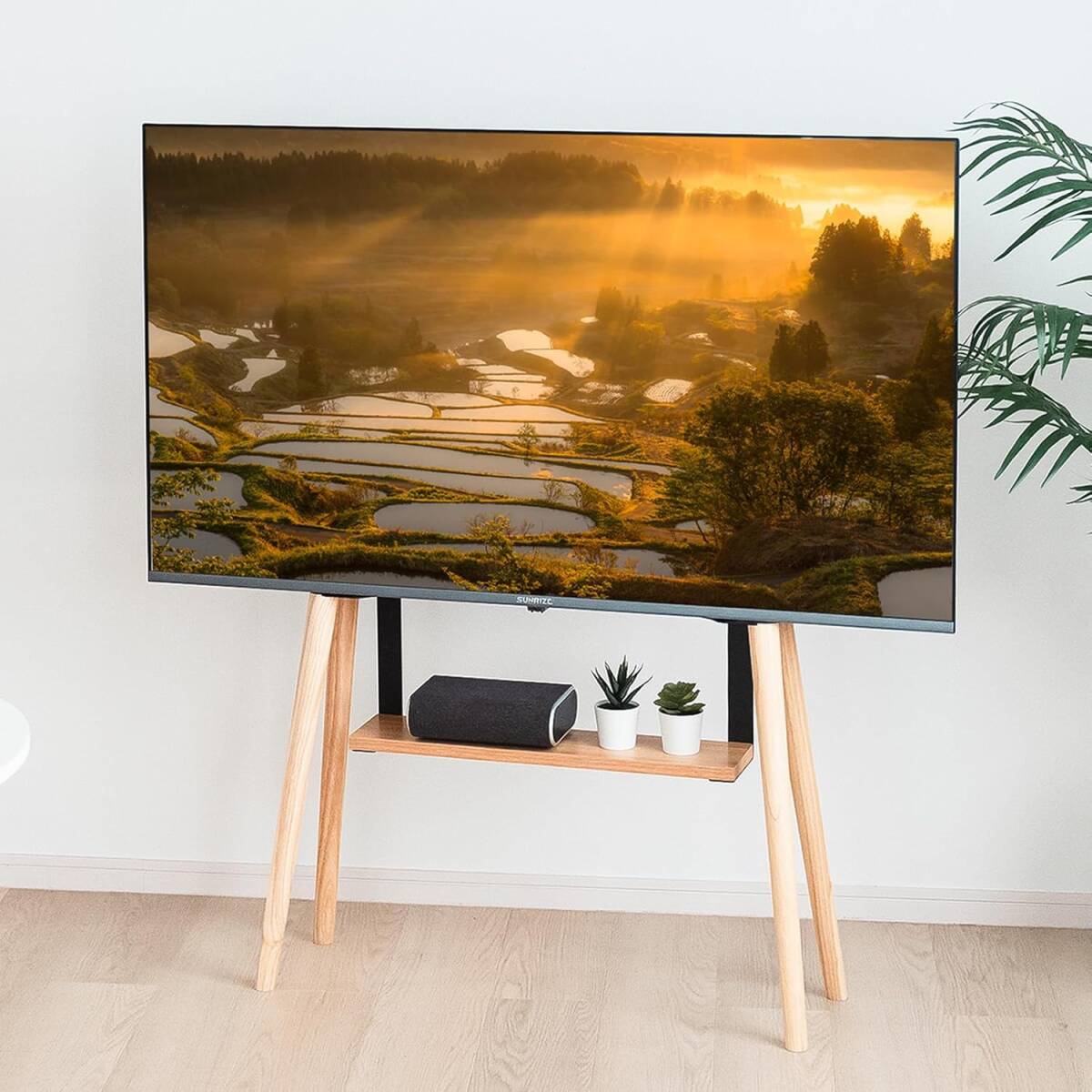 【大人気】テレビスタンド 32～ 55インチ対応 棚付き 高さ調整 耐荷重50kg 省スペース 黒 tks-trbt-s1-bk