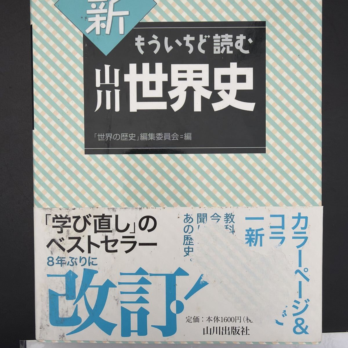 新 もういちど読む 世界史 改訂版 山川出版社