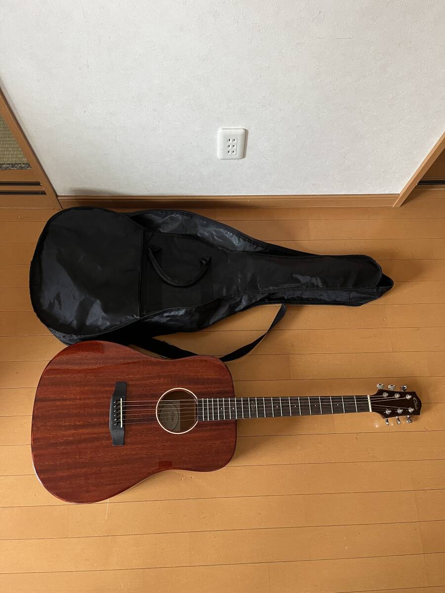 Elvis　アコースティックギター　Elite　Ⅱ