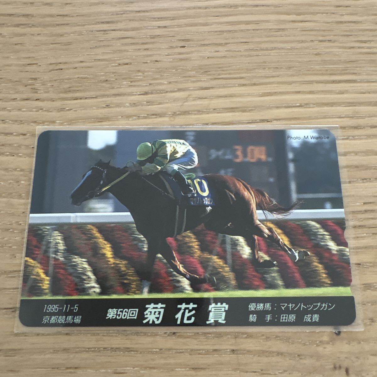【未使用】 菊花賞 マヤノトップガン テレホンカード 競馬