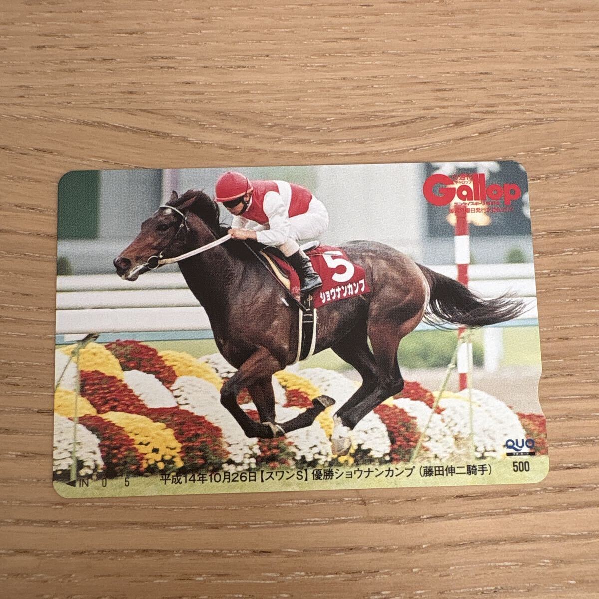 【未使用】ショウナンカンプ　藤田伸二 競馬 QUOカード 週間Gallop JRA