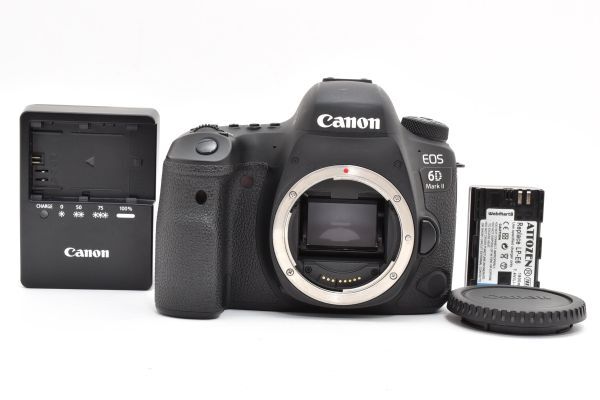 ★良品・ショット数: 23400回★ Canon EOS 6D Mark II ボディ SS1136 #1742