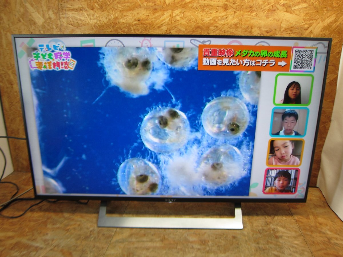 ◎SONY BRAVIA KJ-43X8300D 地上・BS・110度CS 4K対応液晶テレビ 有線・無線LAN Android YouTube 外付けHDD録画 2016年製 リモコン付◎324