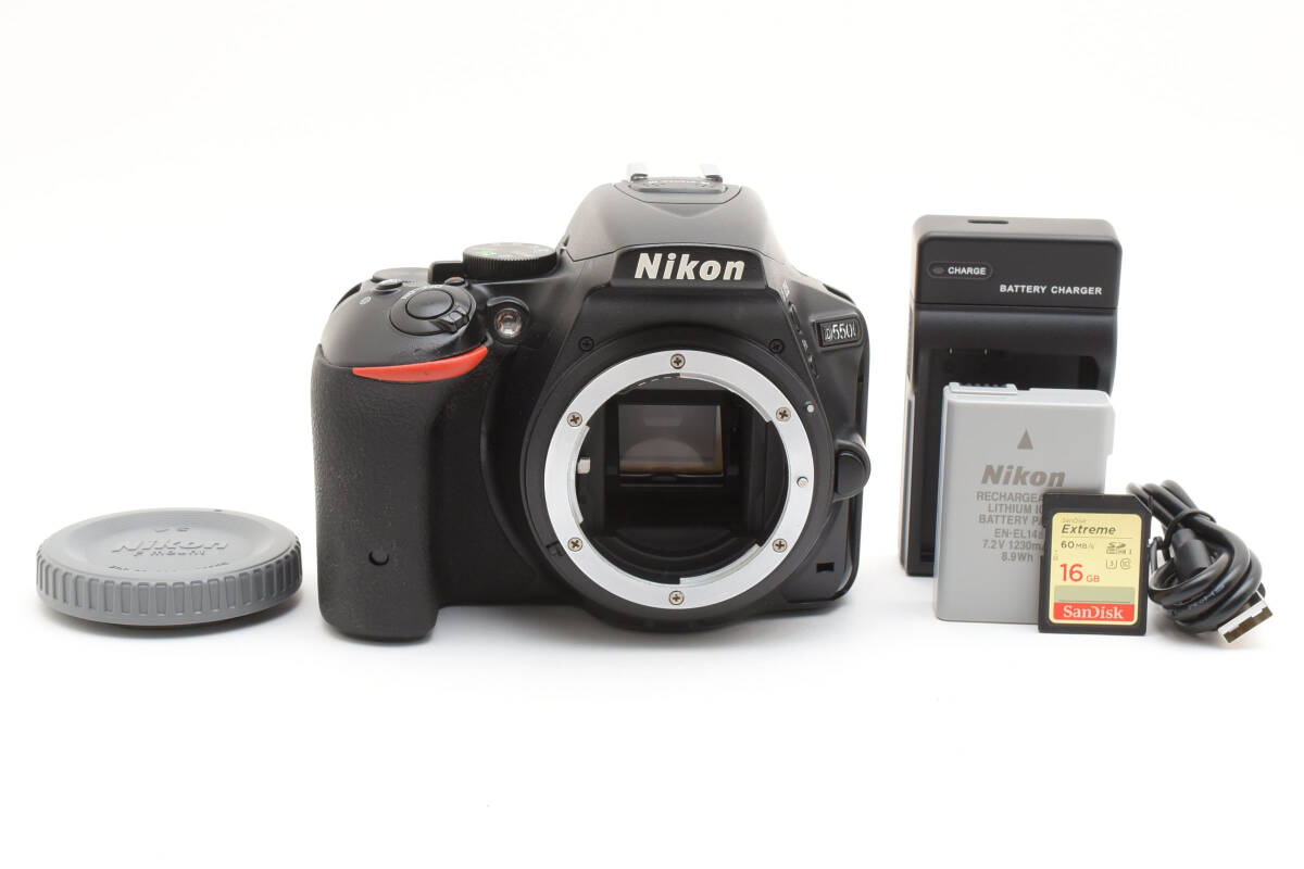 ★大人気★ Nikon ニコン D5500 ボディ