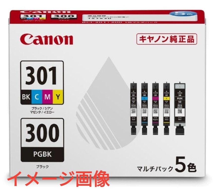y060509t【純正】キヤノン　Canon 　インクカートリッジ BCI-301+300/5MP 1パック　5色入　外箱なし