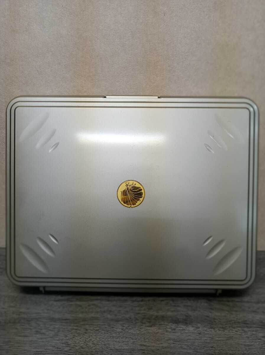 y052903fk Maira Sonic マイラソニック 超音波美顔器 Christine Schrammek Japan エステ 低周波 美容機器