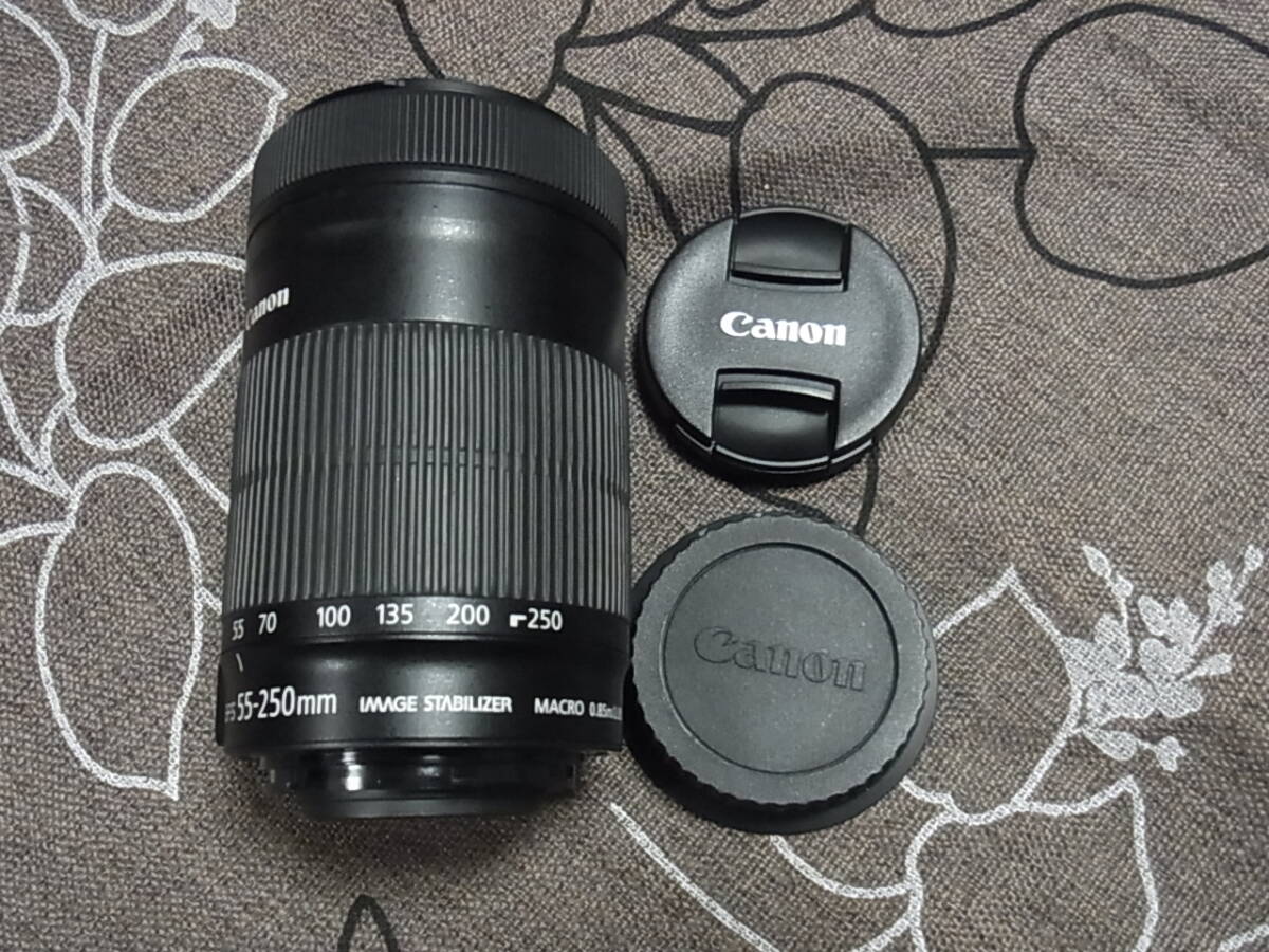 極上美品　CANON ZOOM LENS EF-S 55-250mm 1:4-5.6 IS STM IMAGE STABILIZER MACRO レンズ　動作確認済