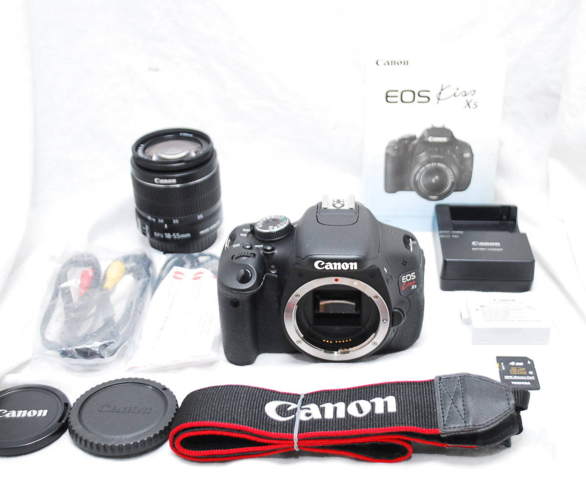 【新品級の超美品 3000ショット・SDカード等完備】Canon キヤノン Kiss X5 EF-S 18-55mm IS Ⅱ