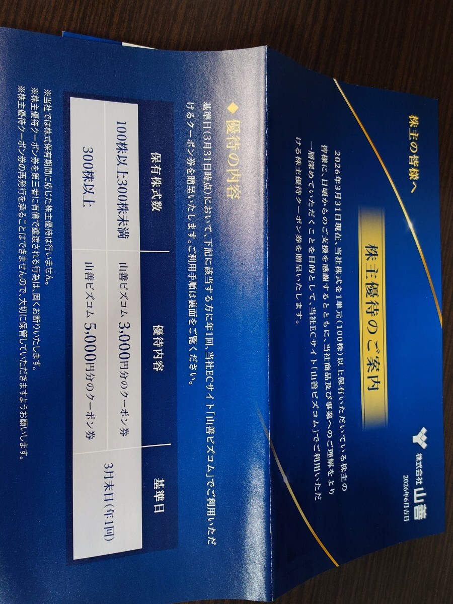 山善 株主優待クーポン 3,000円分 来年の1末まで 普通郵便送料無料 山善ビズコム