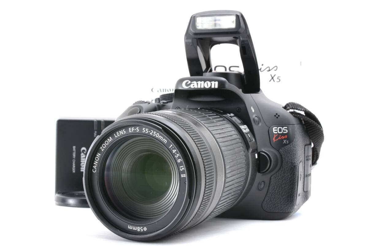動作品 キャノン Canon EOS Kiss X5 レンズ EF-S 55-250mm f4-5.6 IS II デジタル一眼カメラ 取説 充電器付 管WW1371