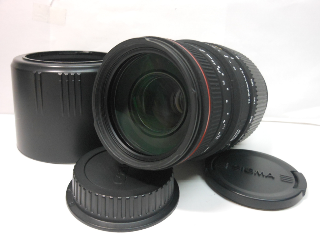 ☆希少超美品級☆シグマ SIGMA APO 70-300mm F4-5.6 DG MACRO キヤノン Canon　　即日発送　フード付