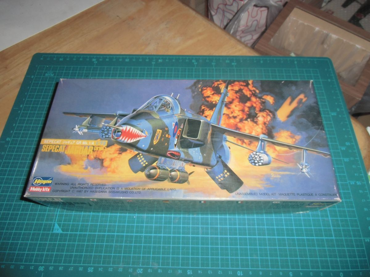 1/72　ジャギュア GR.Mk.1/A 　イギリス空軍　ハセガワ　SEPECAT JAGUAR