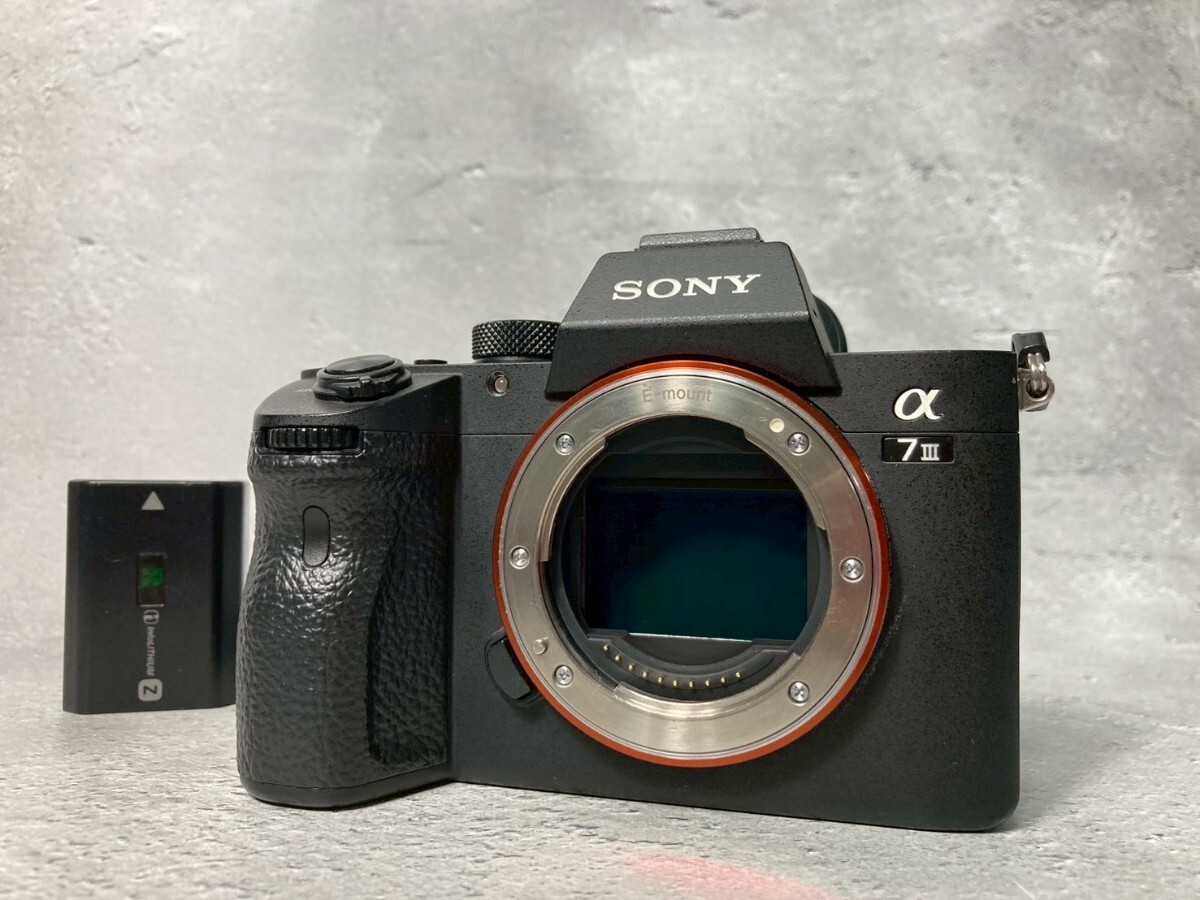 SONY ソニー α7 III ILCE-7M3 ボディ ブラック #11