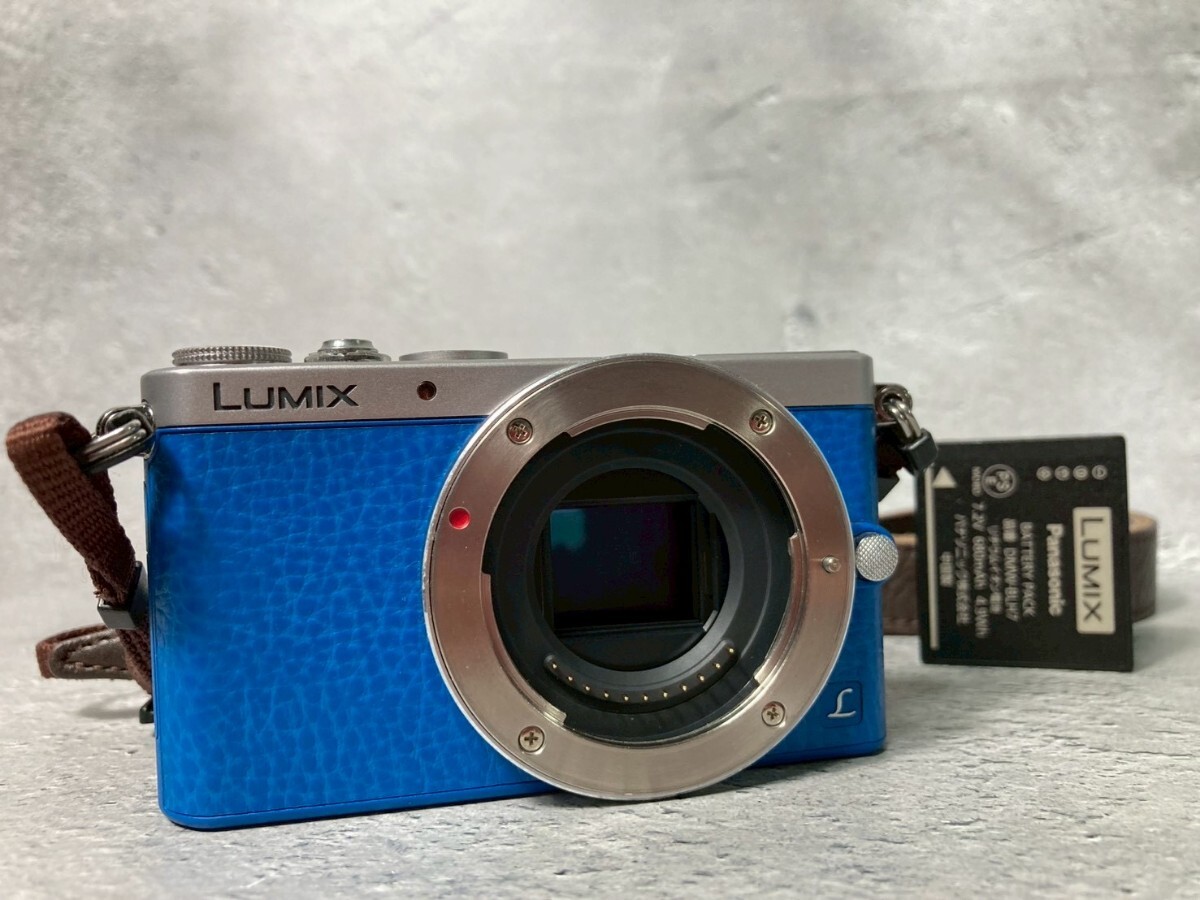 Panasonic パナソニック LUMIX DMC-GM1S ボディ ミラーレス一眼カメラ #26