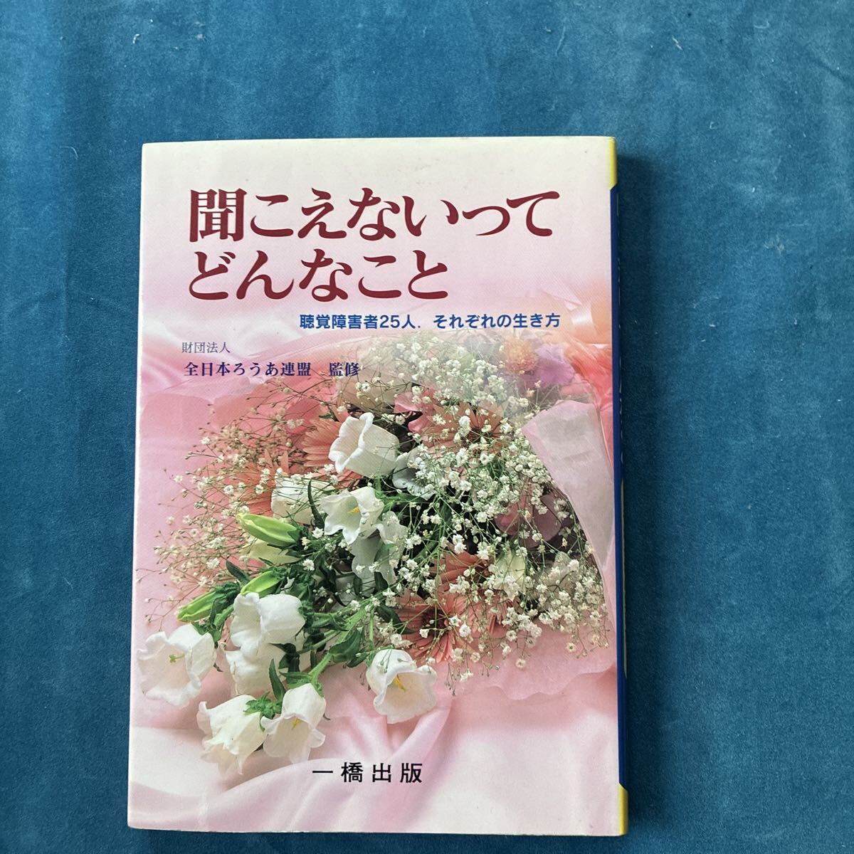 聞こえないってどんなこと 聴覚障害者25人、それぞれの生き方 一橋出版