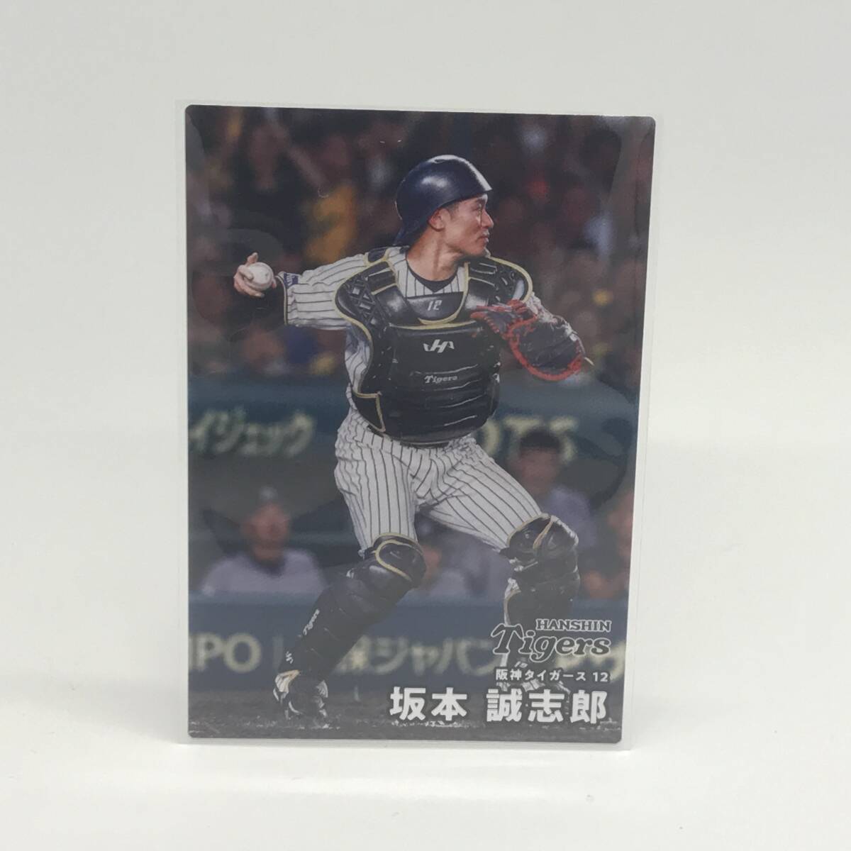 カルビー　プロ野球チップス　2026　坂本誠志郎　阪神タイガース