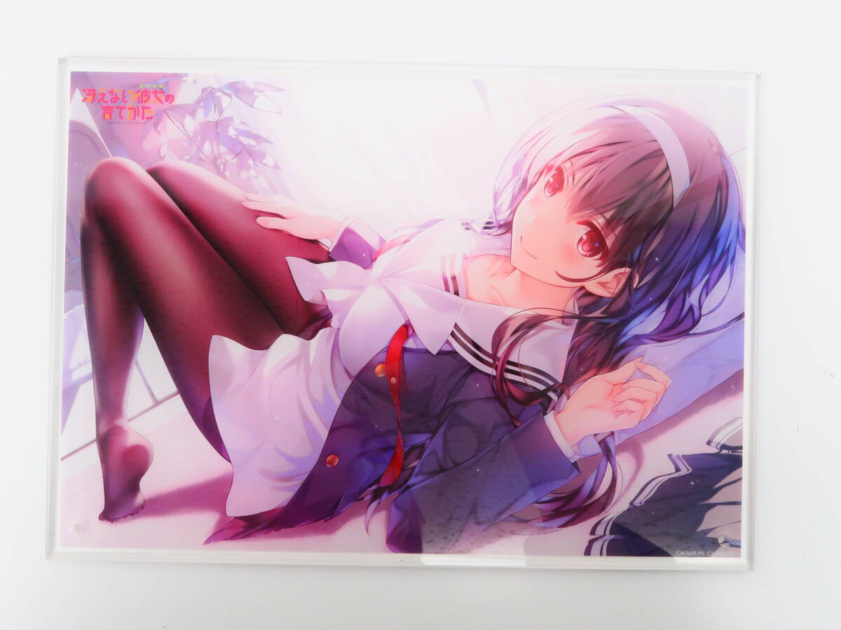 ap1793/冴えない彼女の育てかた Blu-ray Disc BOX ソフマップ購入特典 霞ヶ丘詩羽 A4アクリルアートスタンド