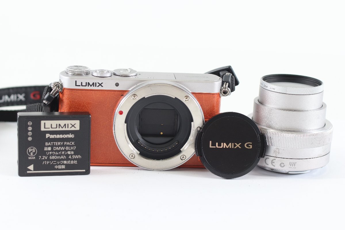 Panasonic パナソニック LUMIX DMC-GM1 一眼レフ ミラーレス デジタルカメラ 12-32mm/F3.5-5.6 ズームレンズ ジャンク品 5727-KF