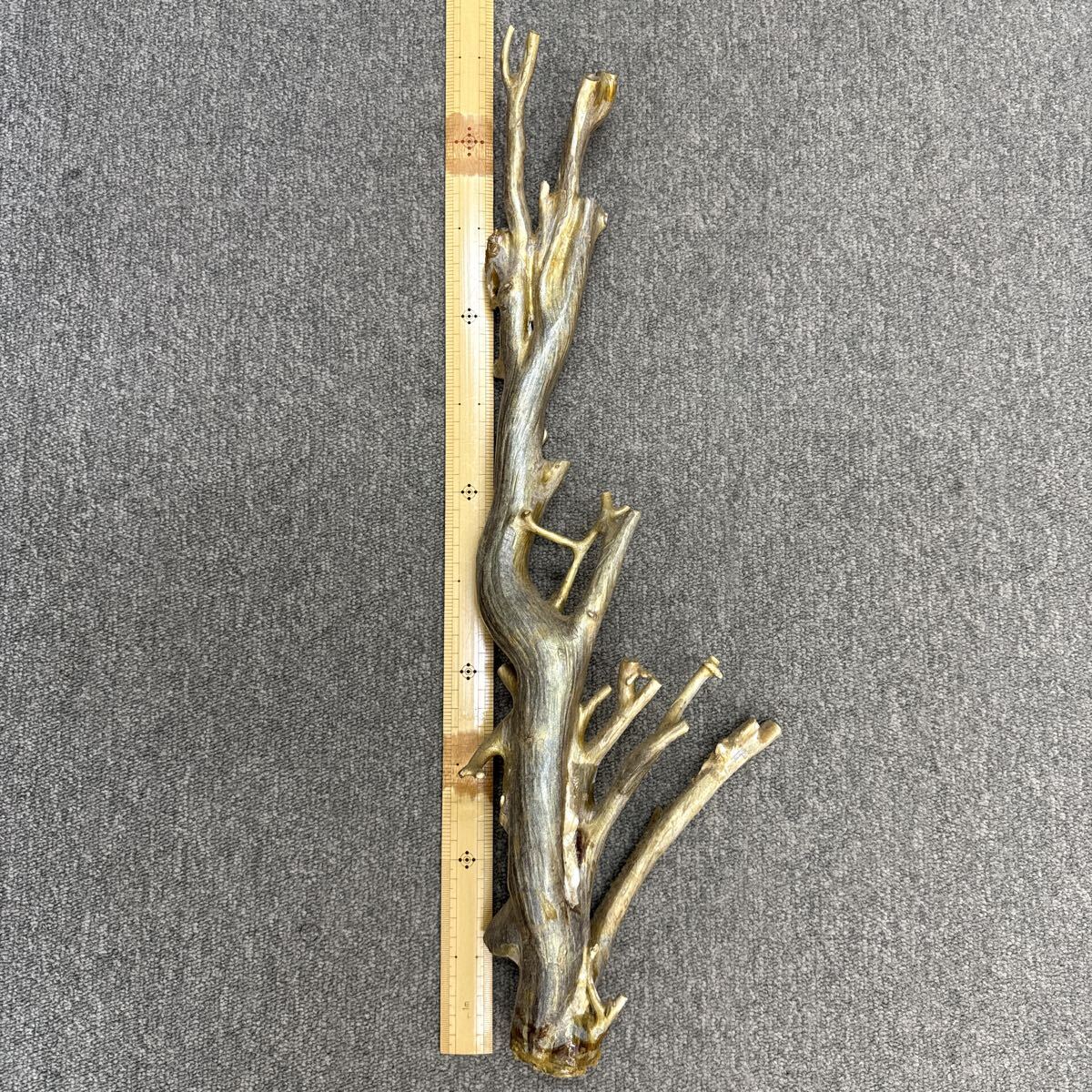 深海松 原木 サンゴ コーラル 宝石　虹彩　珊瑚　海松　貴重　1kg〜
