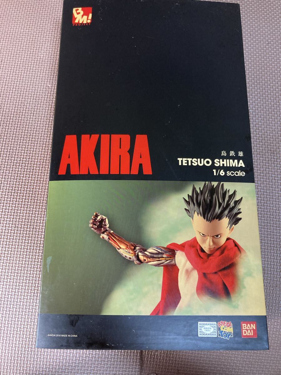 1円 PROJECT BM メディコムトイ AKIRA 島鉄雄 6スケール フィギュア アキラ　ジャンク　現状品