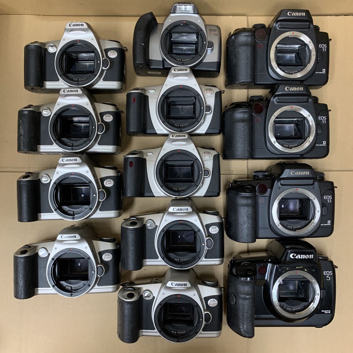 まとめて Canon EOS5 EOS55 Kiss KissⅢ KissLite キヤノン 一眼レフカメラ フィルムカメラ ボディ 未確認 SET 173