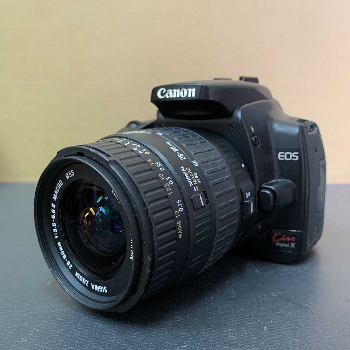 Canon EOS Kiss Digital X キヤノン デジタル一眼レフカメラ 未確認 196