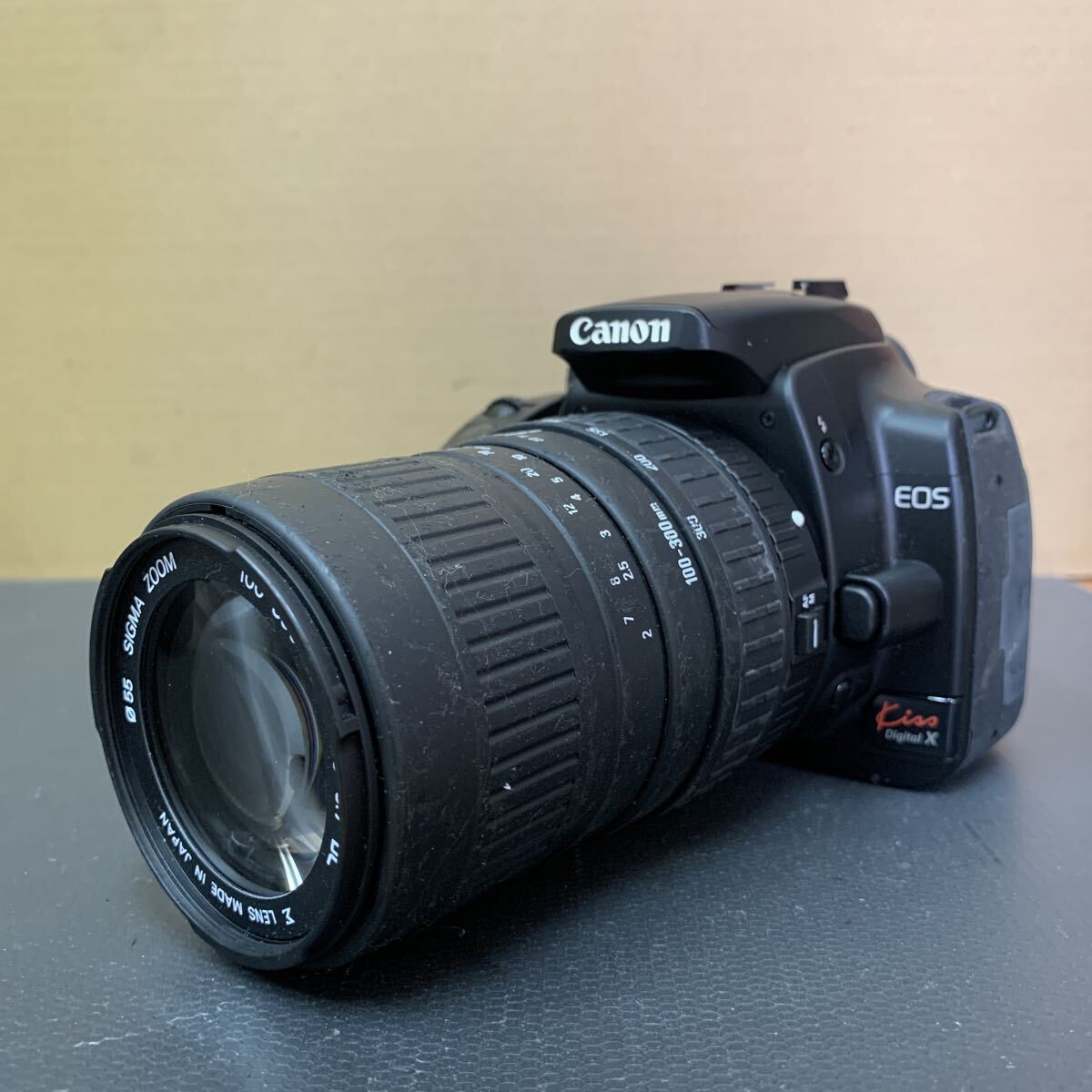 Canon EOS Kiss Digital X キヤノン デジタル一眼レフカメラ 未確認 230