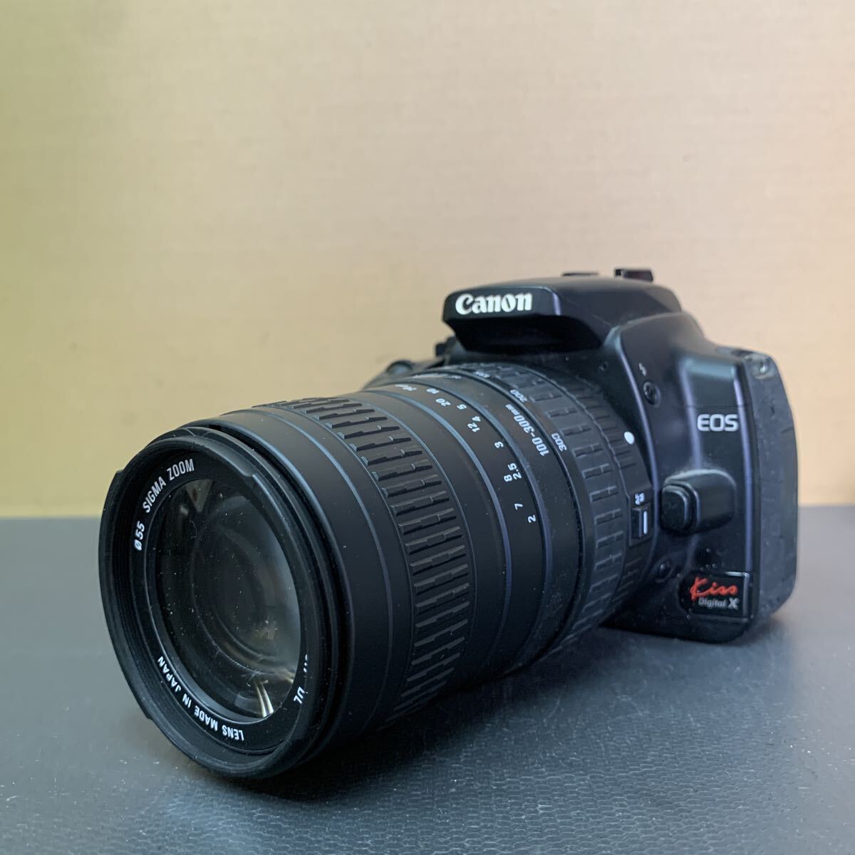 Canon EOS Kiss Digital X キヤノン デジタル一眼レフカメラ 未確認 252