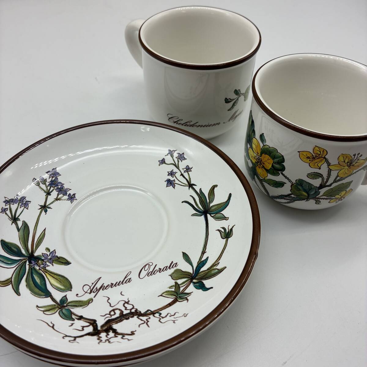【箱入り】ビレロイ ＆ ボッホ Villeroy & Boch ボタニカ デミタスカップ ソーサー ２セット