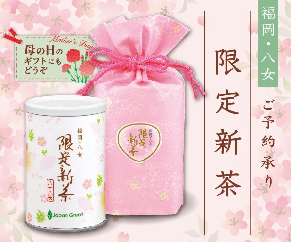 箱入り2缶【限定新茶】星のお茶　献茶園　福岡八女　緑茶　詰め合わせ　期間限定　数量限定