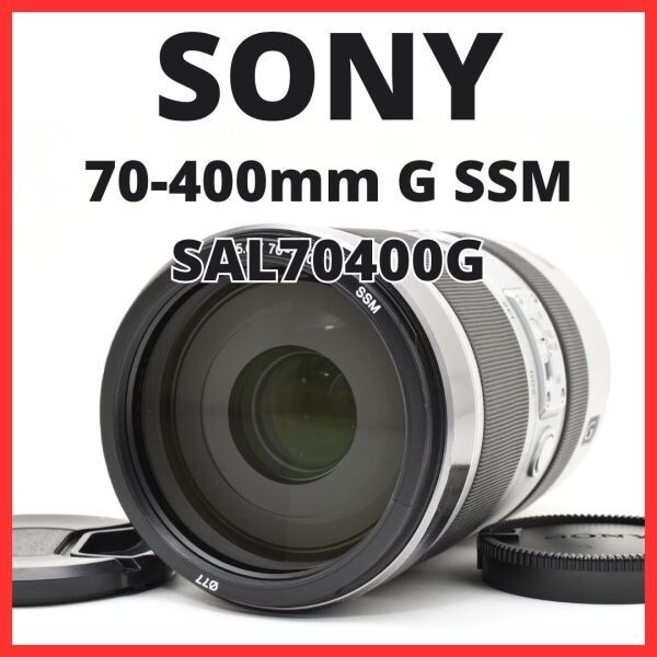 F12[8062]29 ソニー SONY 70-400mm G SSM SAL70400G