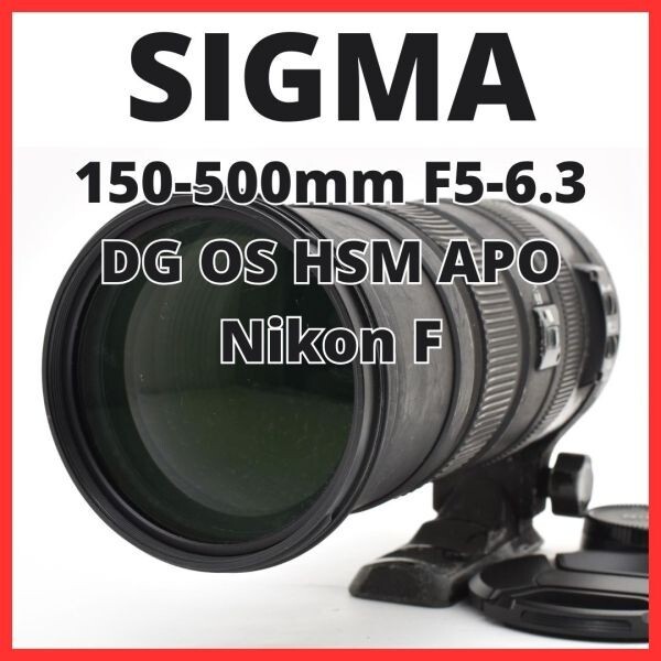 F12[7897]32 シグマ SIGMA 150-500mm F5-6.3 DG OS HSM APO ニコン Nikon Fマウント用