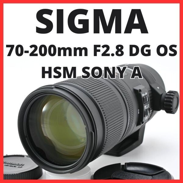 F26[8178]30 シグマ SIGMA 70-200mm F2.8 DG OS HSM ソニー SONY Aマウント用