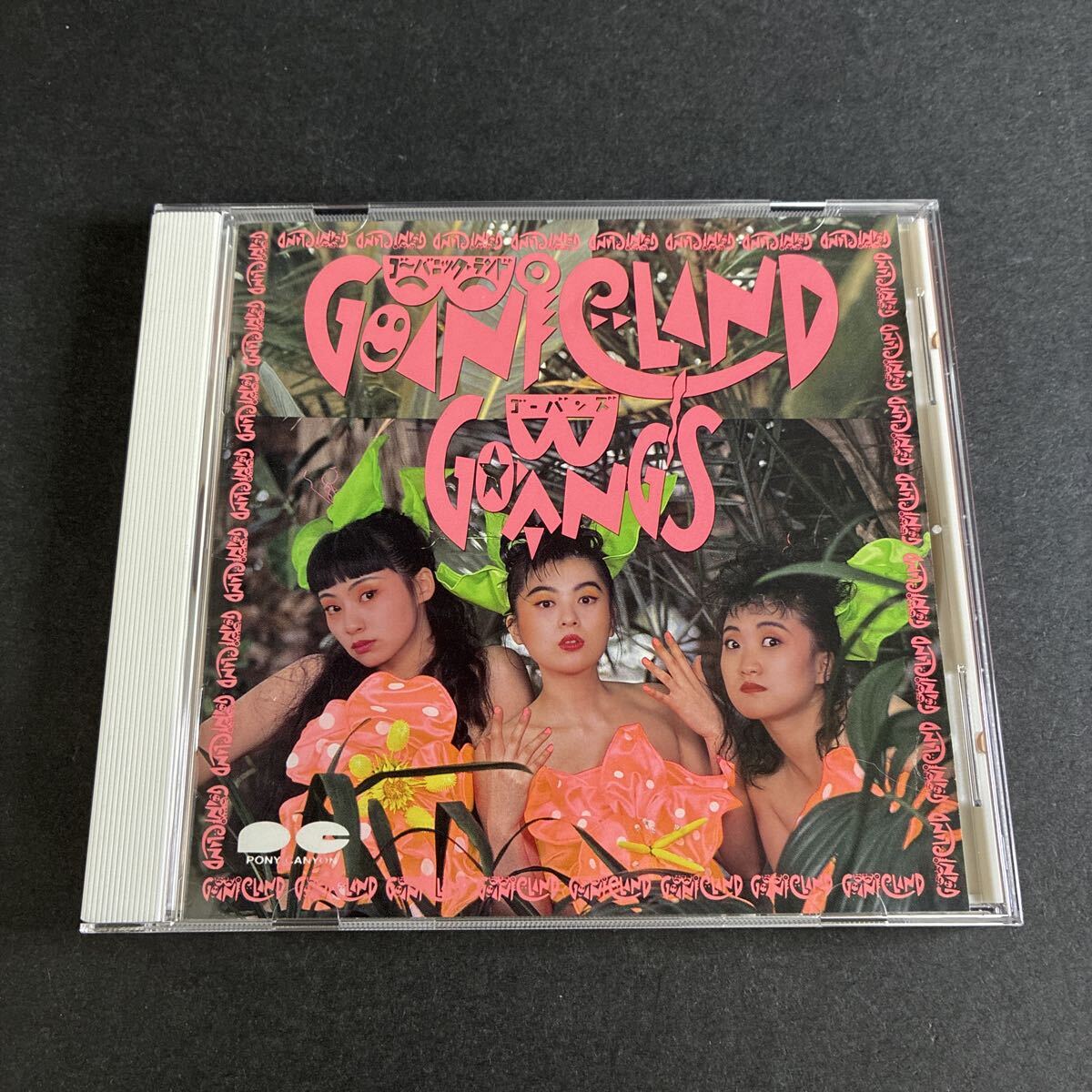 WY25 ゴーバンズ ゴーバニックランド GO-BANG CD D32A0363